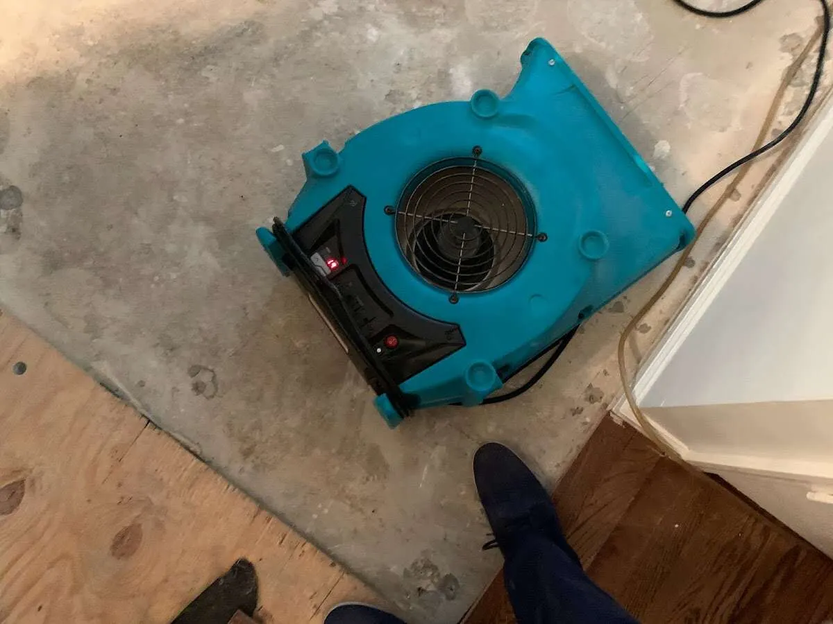 Air mover drying subfloor during Commercial Water Damage Restoration in Monitor